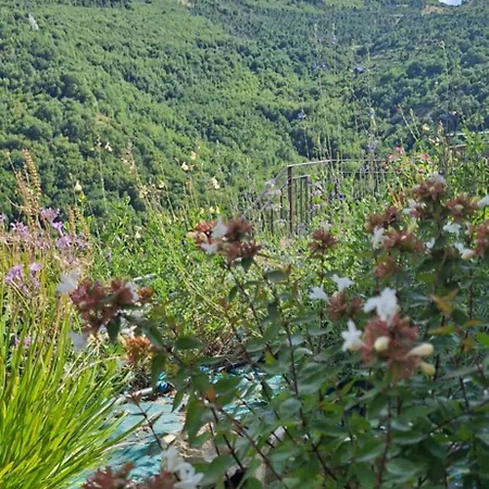 Libera Mente Nyaraló Fabriano