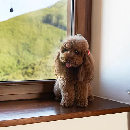 Feriehus Libera Mente Fabriano