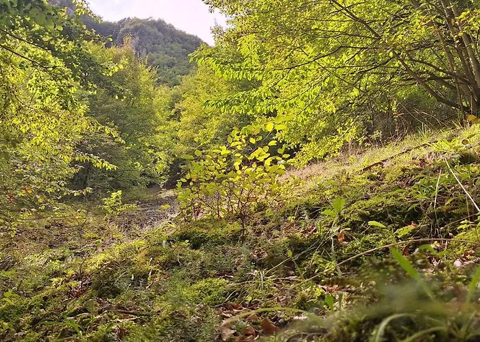 Libera Mente Fabriano